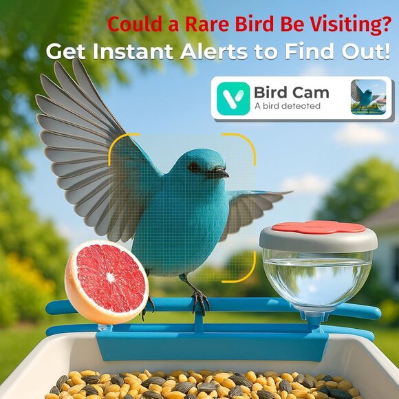 Smart Bird Feeder w Camera AI Bird Identification - Picture 6 of 6